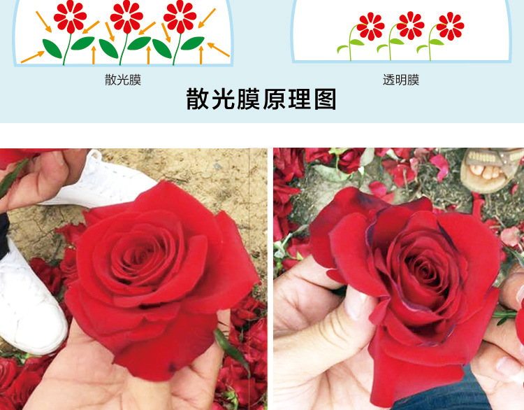 大棚膜
